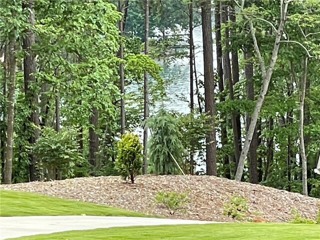 Photo of Lot 1 Deep Water Way