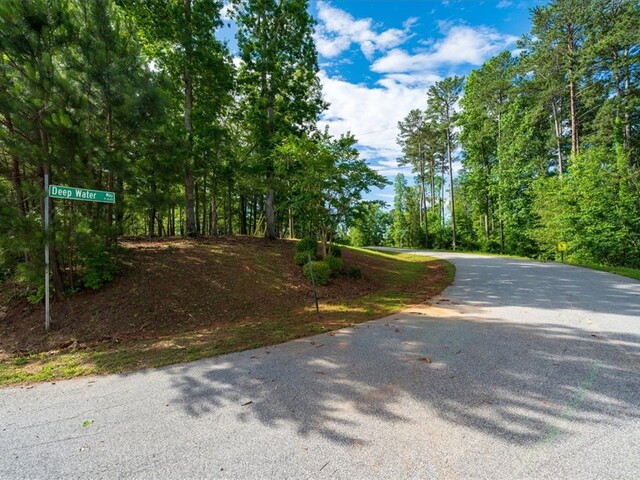 Photo of Lot 1 Deep Water Way