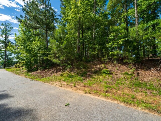 Photo of Lot 1 Deep Water Way