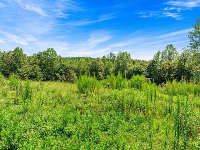 Photo of 179 Alice Lane