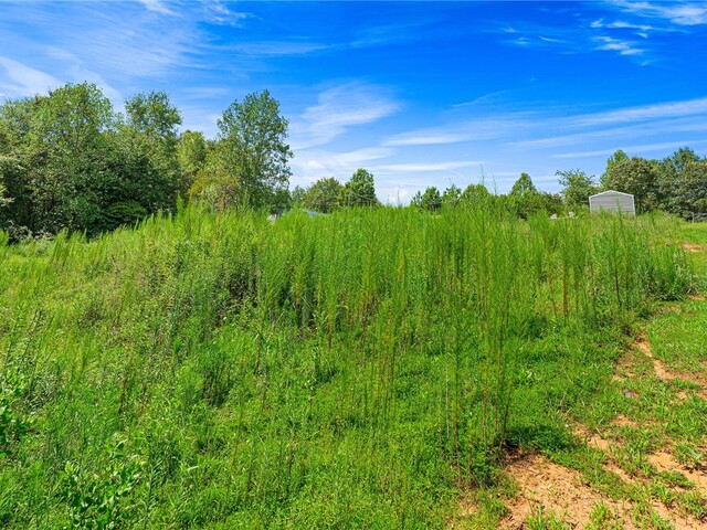 Photo of 179 Alice Lane