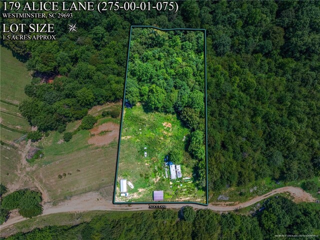 Photo of 179 Alice Lane