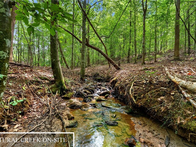 Photo of 179 Alice Lane