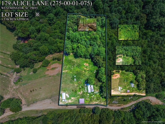 Photo of 179 Alice Lane