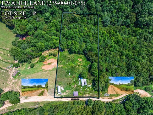 Photo of 179 Alice Lane