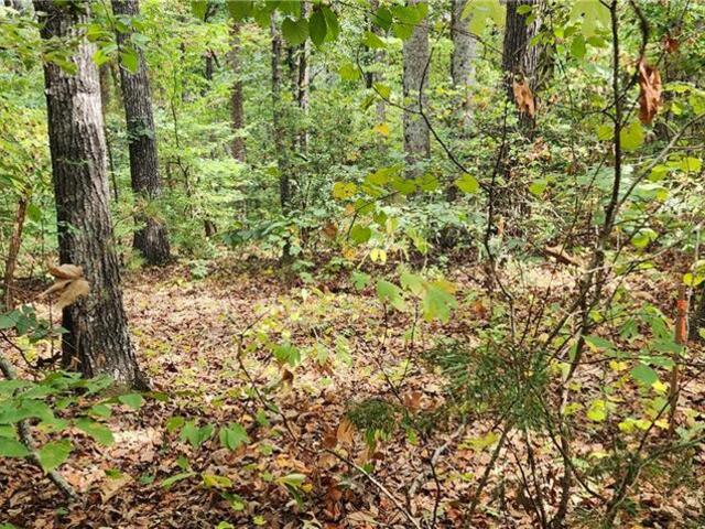 Photo of 205 Briarledge Dr and lot 236A Drive