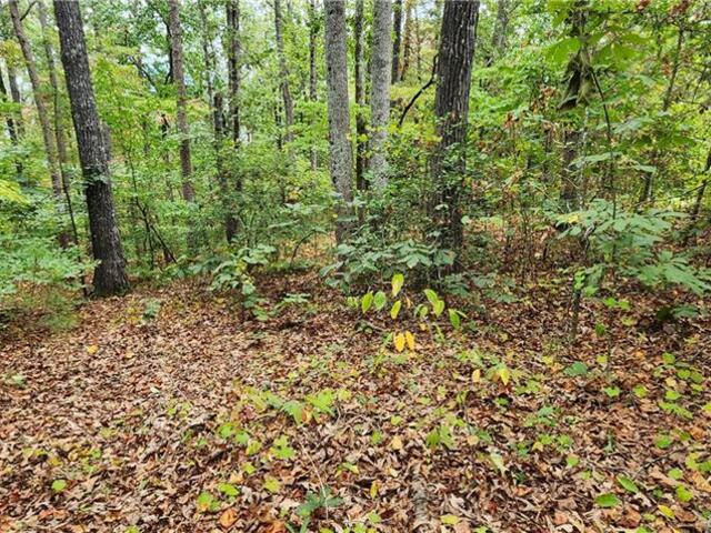 Photo of 205 Briarledge Dr and lot 236A Drive