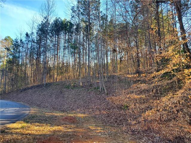 Photo of Lot 28 Talons Ridge Road