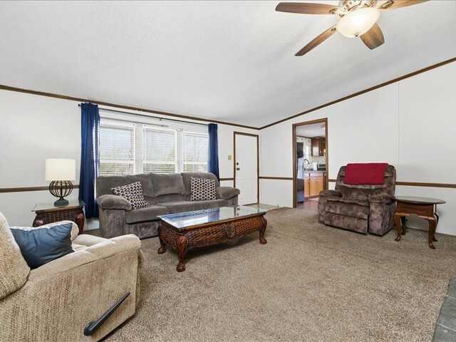 Photo of 104 Singleton Drive