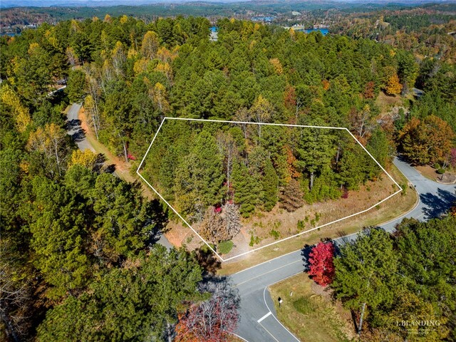 Photo of 00 Cliffs Vista Parkway Photo of 00 Cliffs Vista Parkway