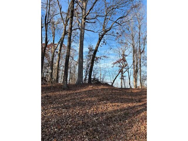 Photo of 201 Oconee Avenue