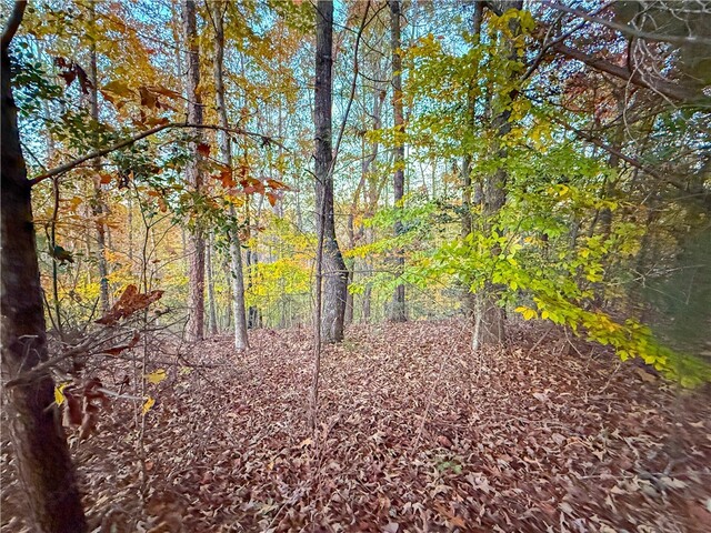 Photo of Lot 55 W Water Edge Lane