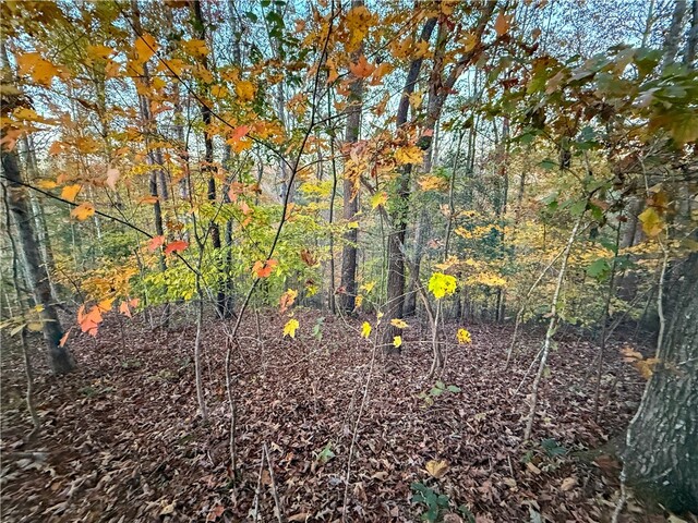 Photo of Lot 55 W Water Edge Lane