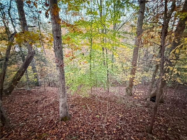 Photo of Lot 55 W Water Edge Lane