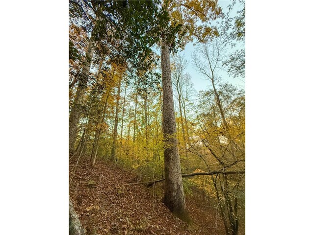 Photo of Lot 55 W Water Edge Lane