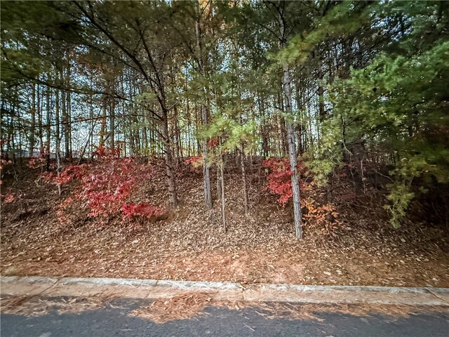 Photo of Lot 55 W Water Edge Lane