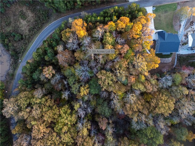 Photo of Lot 55 W Water Edge Lane