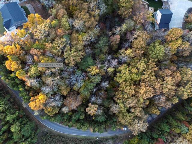 Photo of Lot 55 W Water Edge Lane