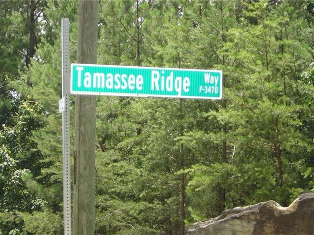 Photo of S-37 Tamassee Ridge Way