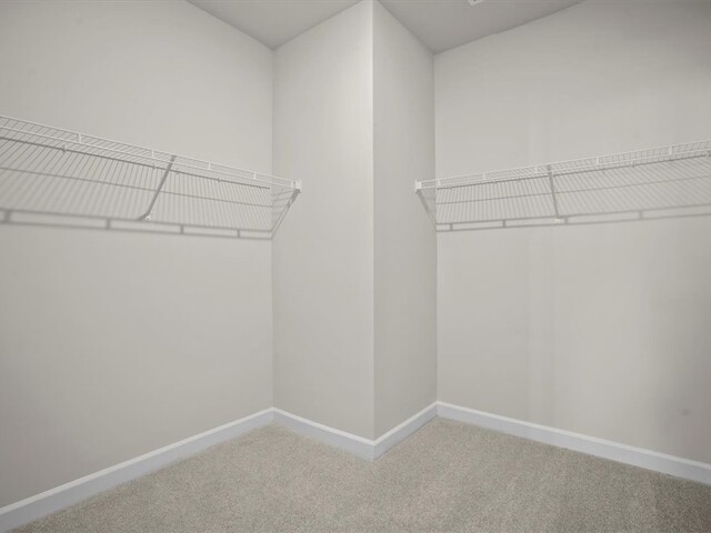 Photo of 116 Milo Road